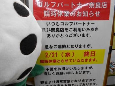 DSCN5213.JPG