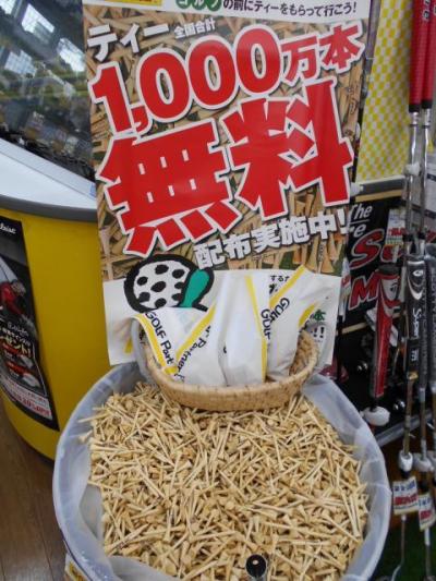 DSCN8407.JPG
