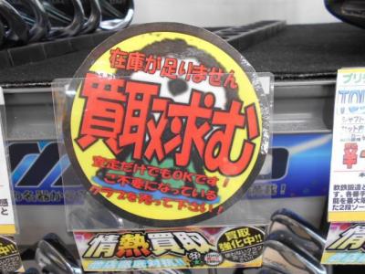 DSCN5733[1].JPG