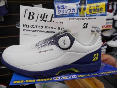 DSCN9385.JPG