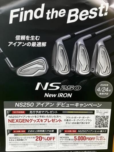 NS250IRON☆*