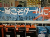 DSCI0295.JPG