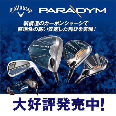 ☆パラダイム、本日発売☆