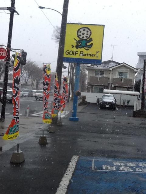 雪ですね〜