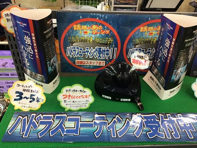 ハドラスコーティング実施中！！