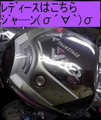画像 VIQL.jpg