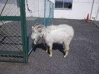 20120224.jpg