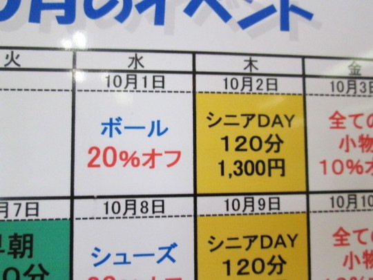 12354.JPG