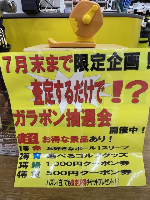 7月限定！