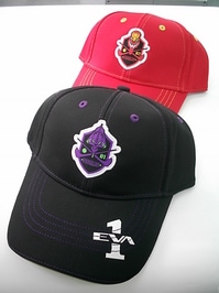 DSCI0002.JPG