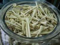 DSCI0501.JPG