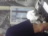 11-07-06_005.jpg