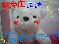キャロ８.JPG