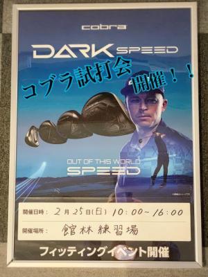 IMG_4950.jpeg