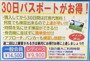 IMG_6174.jpeg