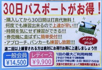 IMG_6591.jpeg