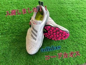 IMG_7955.jpeg