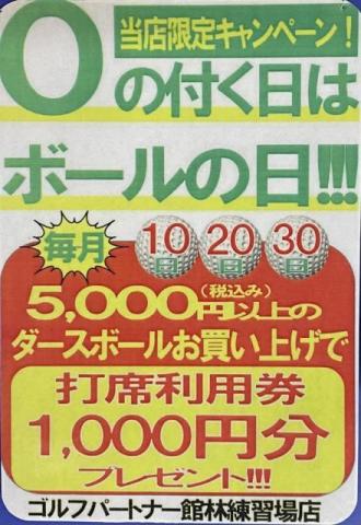IMG_8381.jpeg