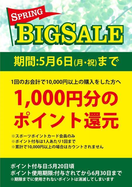 「SPRING BIGSALE」開催中！【5月6日まで】