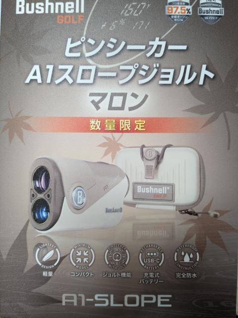 数量限定カラー