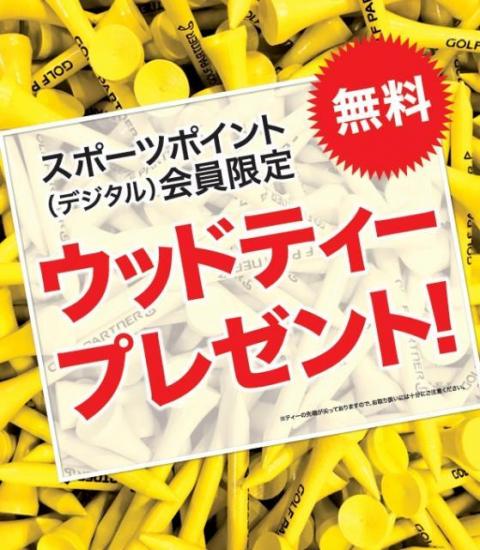 ウッドティープレゼント