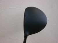 P5160041.JPG