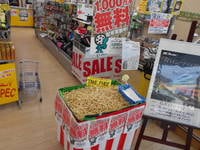 DSCN4233[1].JPG