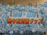 DSCN9636[1].JPG