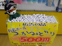 IMGP0060.JPG