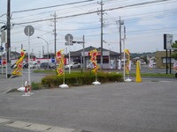 IMGP0106.JPG