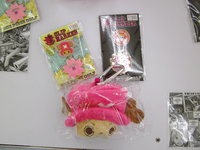 IMGP0196.JPG