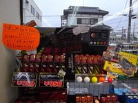 IMGP4860.JPG