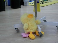 6 004.jpg