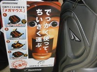 PA2600012.JPG