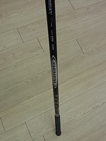 RIMG5550002.JPG