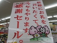 cmRIMG0019.JPG