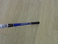 RIMG0008bn.JPG
