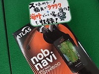 RIMG0015ccx.JPG