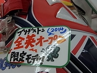 RIM55jG0017.JPG