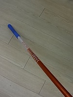 RIMG002920140812.JPG