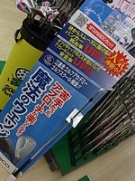 RIMG003920140821.JPG
