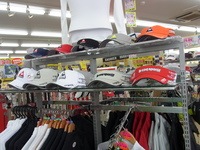 RIMG001420141002.JPG