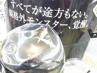 RIMG001720141110.JPG