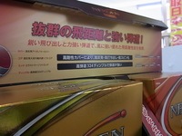 150503RIMG0002.JPG