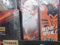 151109RIMG0015.JPG