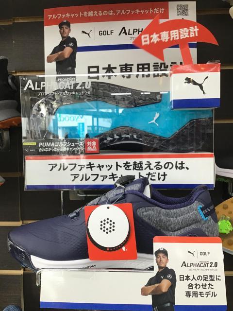 アルファキャット2.0新発売‼️