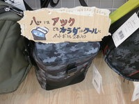 P4280001.JPG