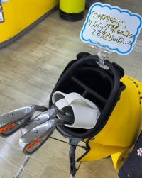 IMG_2460.jpeg