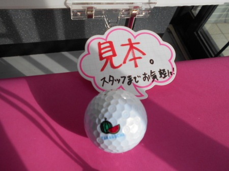 DSCN2775.jpg