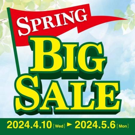 SPRING BIG SALE 開催中！